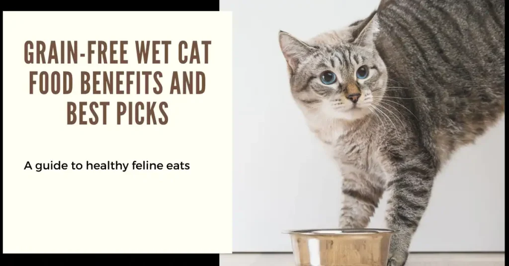 Grain-Free Wet Cat Food