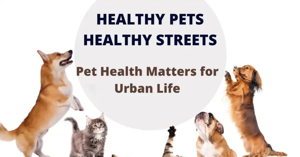 Healthy pets healthy streets