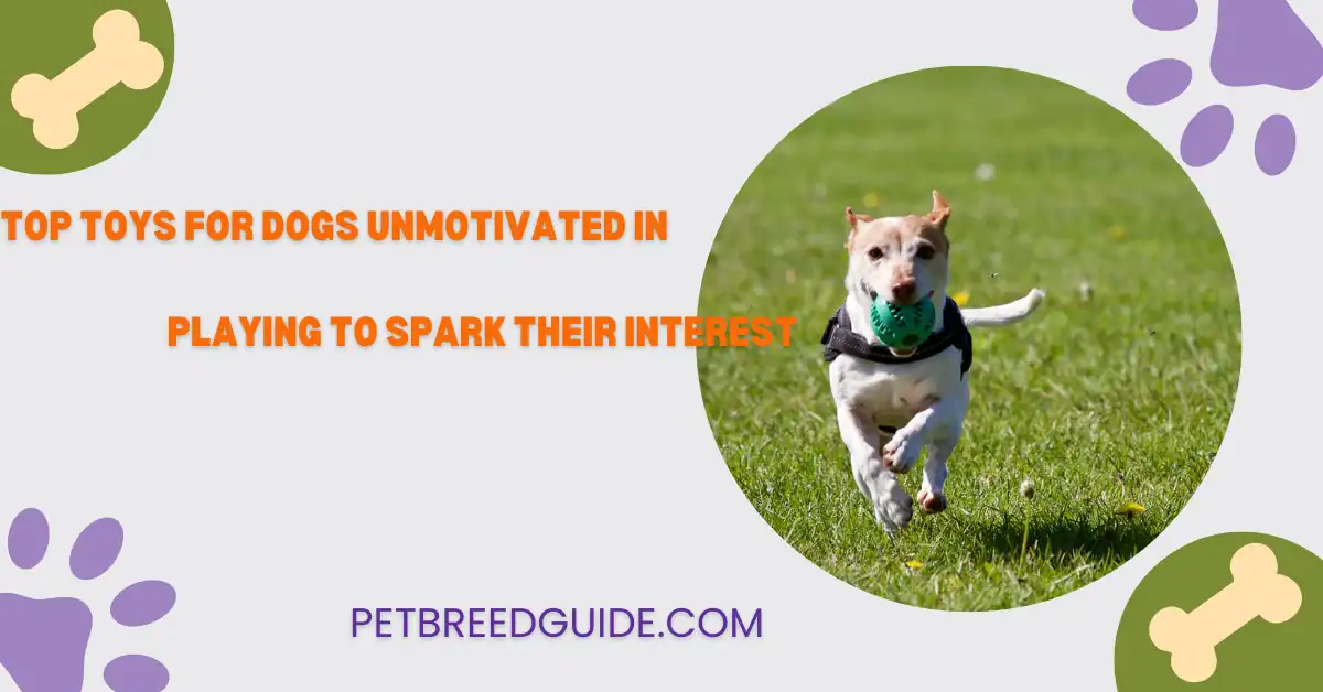 dog toys for small dogs