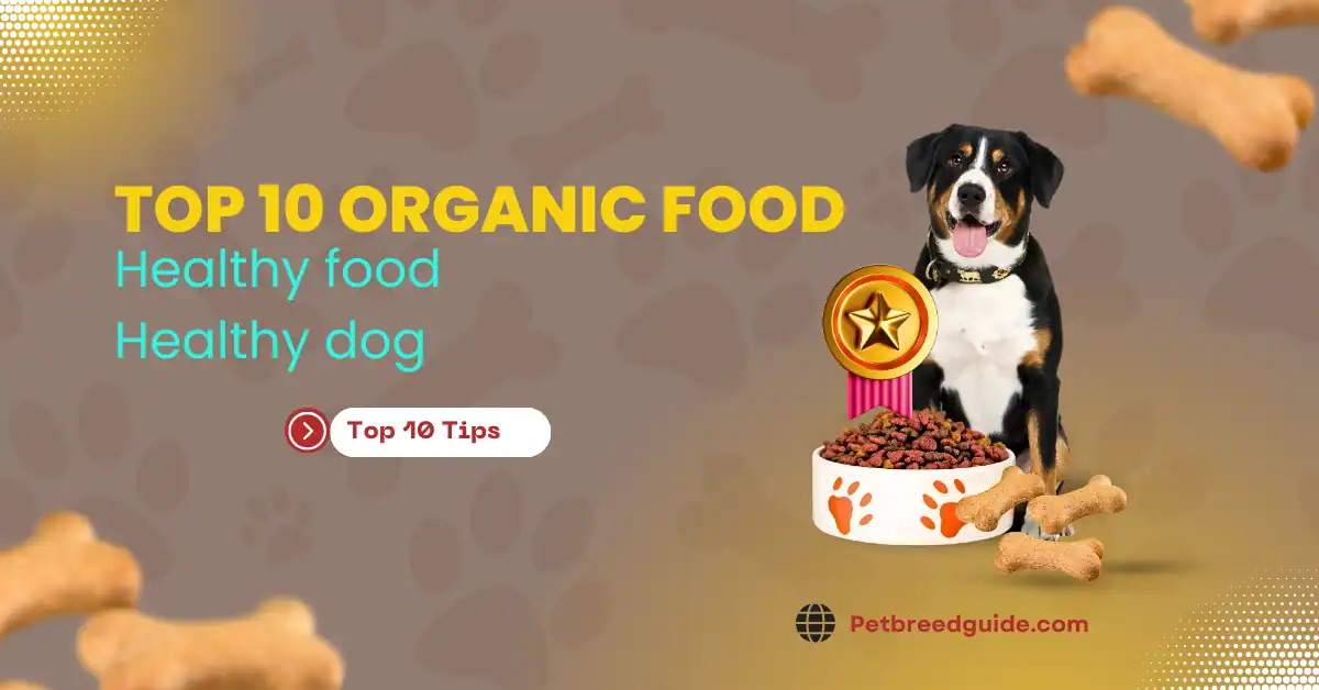 top 10 Organic food