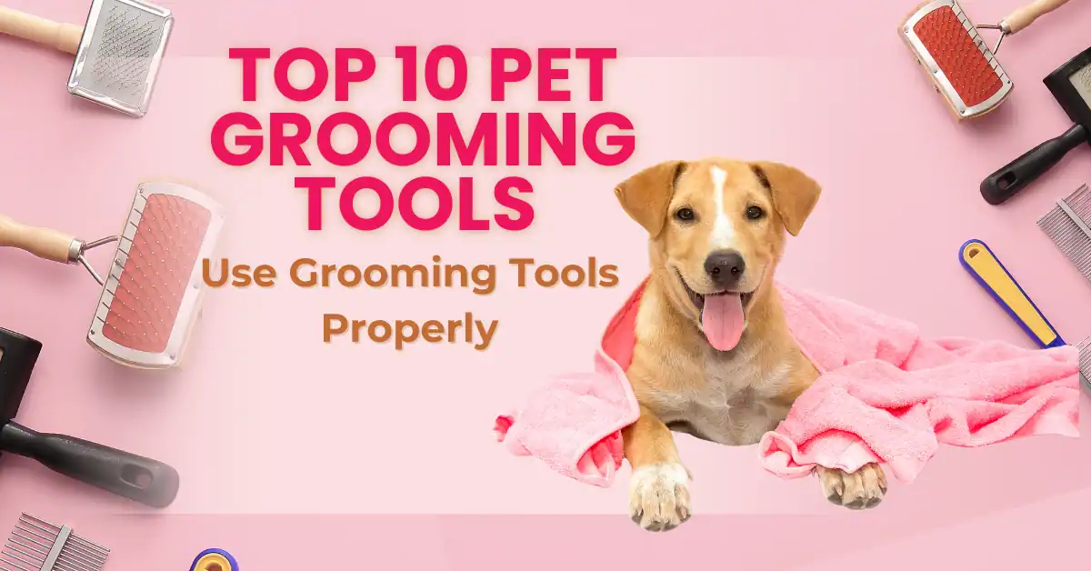Pet Grooming Tools Dog
