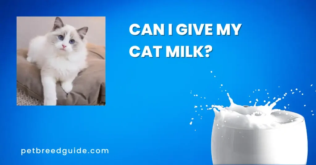 Can I give my cat milk?