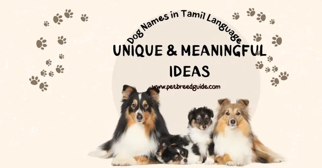 Dog Names in Tamil Language